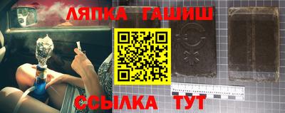 гидра Камышлов