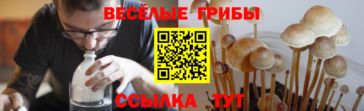 Галлюциногенные грибы Cubensis  Вход с VPN  Сатка  Псилоцибиновые грибы Magic Shrooms 
